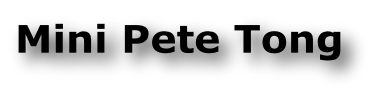 Mini Pete Tong