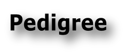 Pedigree